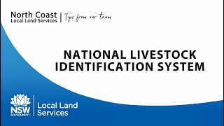 Tips from our Team  the National Livestock Identification System [upl. by Efi]