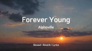 Alphaville  Forever Young Slowed  Reverb  Lyrics [upl. by Melcher]