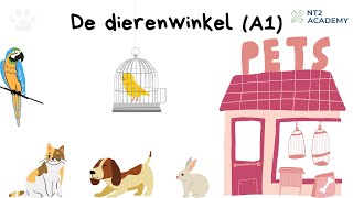 De dierenwinkel A1  Learn Dutch with Stories nt2 leernederlands learndutch [upl. by Llener905]