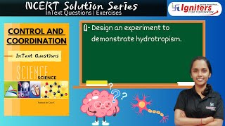 Design an experiment to demonstrate hydrotropism [upl. by Dorothy]