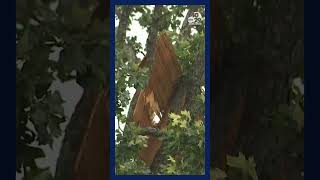 Video shows damage after severe storms roll through Arkansas [upl. by Aruon782]