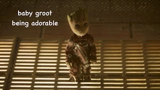 baby groot being adorable [upl. by Neumeyer924]