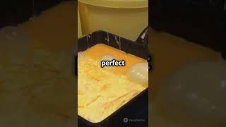 Master Tamagoyaki in 60 Seconds Quick amp Easy Recipe 🍳 [upl. by Iarised966]