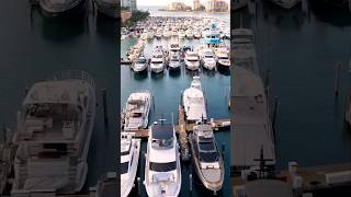 Miami Beach Marina miamibeachmarinayachtlife miamibeach miamilife erinyachtsales [upl. by Adnohser956]