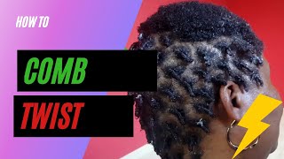 How To Get Twist With Natural Hair [upl. by Hahseram]