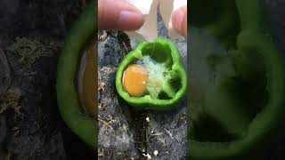 How to cook chicken eggs simply but extremely delicious survival bushcraft camping shorts tips [upl. by Cathey]