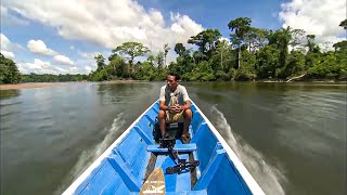 Suriname in the Heart of Endless Forests [upl. by Erdnaet]