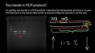 How to get rid of unspecific bands in Gel Electrophoresis [upl. by Alcine]