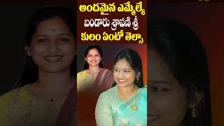 TDP MLA Bandaru Sravani Caste Details  Lifestyle  Singanamala MLA  Tollywood Nagaram [upl. by Bealle]