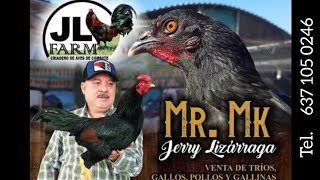 Asil Plummers MK JL Farm Jerry Lizarraga Méx [upl. by Saideman590]