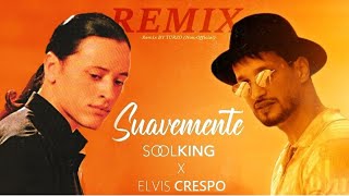 Soolking ft Elvis Crespo  Suavemente MERENGUE REMIX by TURZO [upl. by Aleinad]