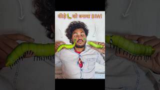 कीड़े🐛को बनाया BiwiWifecomedy insect [upl. by Lareena]