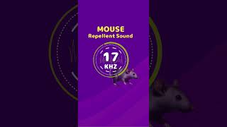 Mouse amp Rat Repellent Noise Highfrequency sounds [upl. by Ange]