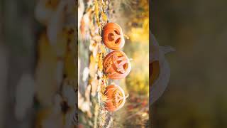 🌹⁷☆•⁵ Gourd Family Cucurbits  Cucurbitaceae [upl. by Aerdno]