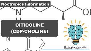 Citicoline amp CDPcholine  Nootropics Information [upl. by Sharma440]