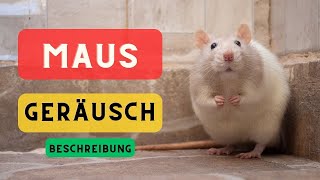 🐁🔈Maus Geräusche und Beschreibung 🐁 Mäuse Quietschen [upl. by Adlin175]