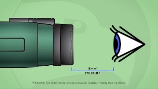 Understanding Binoculars Eye Relief [upl. by Jesse]