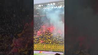 Mewa Arena Mainz 31 Borussia Dortmund [upl. by Adnolohs]