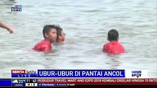 Petugas Berikan Edukasi Bahaya Uburubur kepada Pengunjung Pantai Ancol [upl. by Ifill]