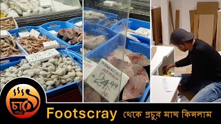 Footscray থেকে প্রচুর মাছ কিনলাম [upl. by Gambrill513]