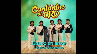 CANTARITOS DE ORO  BUSCO UN AMOR [upl. by Lerej471]