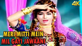 Meri Mitti Mein Mil Gayi Jawani  Helen Superhit Dance Song  Asha Bhosle  Khandaan [upl. by Gnak]