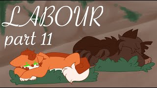 🌹Labour🌹pt11  A SheCats MAP for zjnoodlecrisp [upl. by Kellen98]