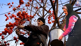 Grandmas Unusual Red Persimmons Dessert Recipe in the Caucasian Village [upl. by Franckot]