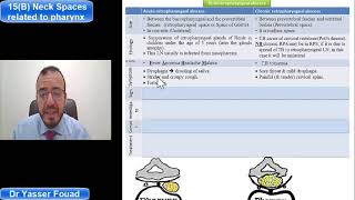 15 Neck spaces related to the pharynx Part B [upl. by Ynohtnaluap352]