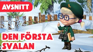 Masha och Björnen 🎇 Nytt Avsnitt 2024 🎇 🐦 Den första svalan 🐧 Avsnitt 82 [upl. by Garbe]