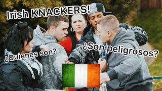 Los quotKNACKERSquot Irlandeses 🇮🇪 ¿Los conoces Te cuento de ellos [upl. by Vargas28]