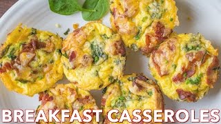 Easy Breakfast Egg Muffins Recipe  Natashas Kitchen [upl. by Rimidalv609]