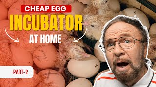 How to make cheap egg incubator at home  part 2 incubator banane ka tarika [upl. by Rhoda]