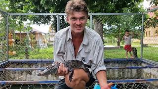 one of the rarest crocodilians on earth siam crocodile [upl. by Ytitsahc]