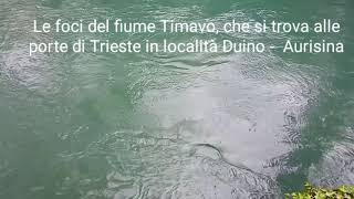 Le foci del misterioso fiume Timavo [upl. by Fairlie]