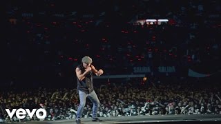 ACDC  Dog Eat Dog Live At River Plate December 2009 [upl. by Onilegna]