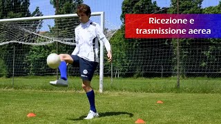 Esercizi scuola calcio Trasmissione e ricezione palla [upl. by Renaxela]