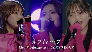 iScream「ホワイト・ラブ」Live Performance Video at TOKYO DOME [upl. by Eelamme]