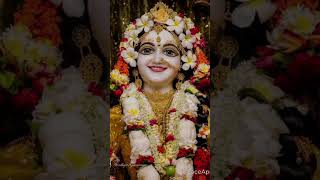 Radhe Radhe trending radharani whatsappstatusvideo [upl. by Lesig]