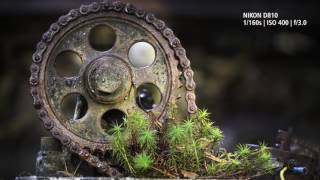 The Beauty of Rust  AFS VR Micro NIKKOR 105mm f28G IFED  Macro Lens Masterclass [upl. by Alyek]