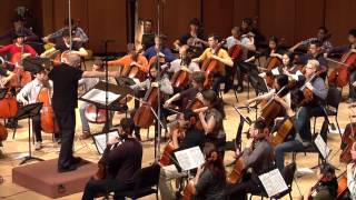 MAHLER Symphony No 5 Adagietto  Northwestern Cello Ensemble [upl. by Anicul]