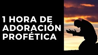 1 Hora de Música Cristiana Adoración Profética con Carolina Tejada Vol3 [upl. by Terencio170]