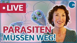 Parasiten – Schmarotzer im Darm  medical INSIGHTS [upl. by Romano]