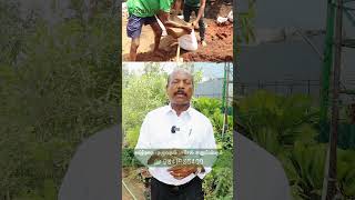 ₹150ல் தரமான மண்கலவை உங்கள் தோட்டத்திற்கு  Best Soil Mixture for Your Indoor Plants and Garden🌱 [upl. by Etak]