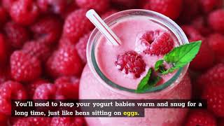 How to Incubate Yogurt – 3 Amazing Facts You Need To Know [upl. by Lotsyrc]