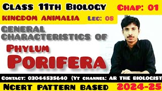 General characterstics of Phylum porifera Kingdom Animalia Invertebrates XI Biology NCERT [upl. by Assele]