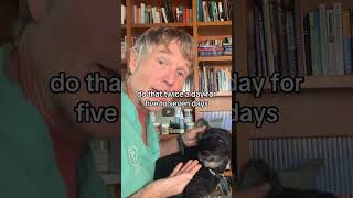 Is Colloidal Silver safe for dogs and cats [upl. by Ohare471]