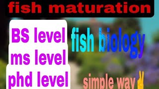 fish maturationfish spawningfish reproduction spawning stages [upl. by Rairb]