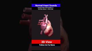 normal heart sounds  heart sound 3d foryou shorts [upl. by Nahshunn]