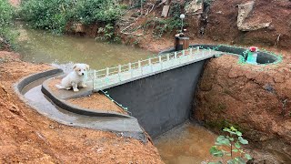 Build mini dam hydropower on a small stream with a powerful unit [upl. by Notnert]